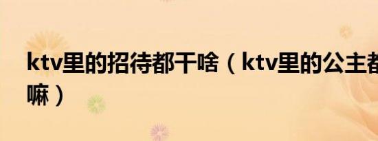 ktv里的招待都干啥（ktv里的公主都可以干嘛）