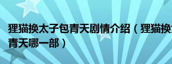 狸猫换太子包青天剧情介绍（狸猫换太子是包青天哪一部）