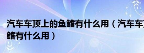 汽车车顶上的鱼鳍有什么用（汽车车顶上的鱼鳍有什么用）