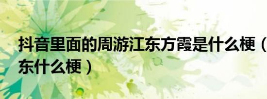抖音里面的周游江东方霞是什么梗（周游 江东什么梗）