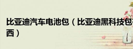 比亚迪汽车电池包（比亚迪黑科技包有什么东西）