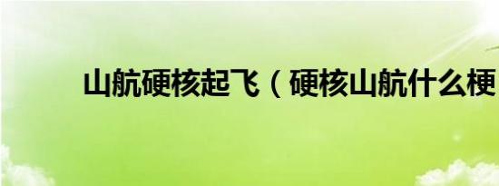 山航硬核起飞（硬核山航什么梗）