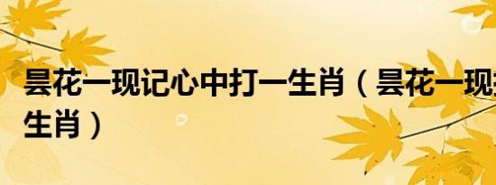 昙花一现记心中打一生肖（昙花一现指的什么生肖）