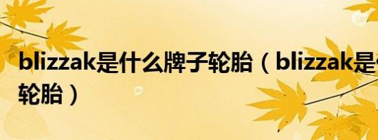 blizzak是什么牌子轮胎（blizzak是什么牌子轮胎）