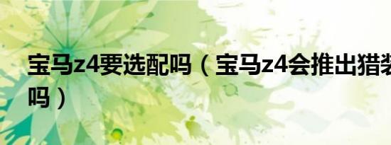 宝马z4要选配吗（宝马z4会推出猎装版车型吗）
