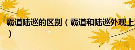 霸道陆巡的区别（霸道和陆巡外观上怎么区分）