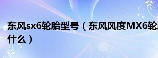 东风sx6轮胎型号（东风风度MX6轮胎型号是什么）