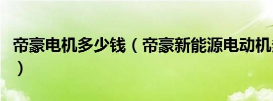 帝豪电机多少钱（帝豪新能源电动机多大功率）