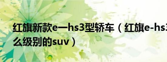 红旗新款e一hs3型轿车（红旗e-hs3属于什么级别的suv）