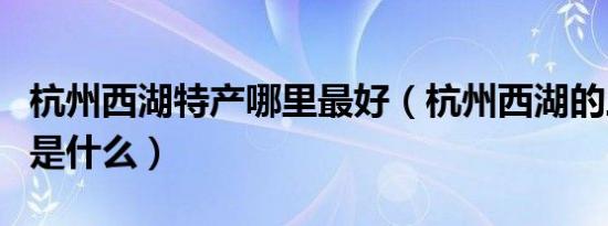 杭州西湖特产哪里最好（杭州西湖的三大特产是什么）