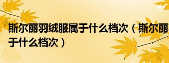 斯尔丽羽绒服属于什么档次（斯尔丽羽绒服属于什么档次）