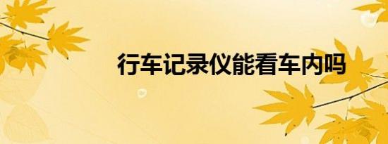 行车记录仪能看车内吗