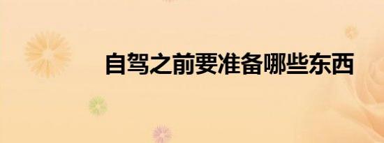 自驾之前要准备哪些东西