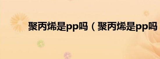 聚丙烯是pp吗（聚丙烯是pp吗）