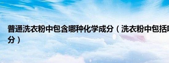 普通洗衣粉中包含哪种化学成分（洗衣粉中包括哪些化学成分）