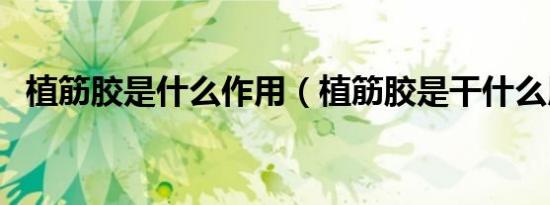 植筋胶是什么作用（植筋胶是干什么用的）