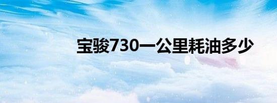 宝骏730一公里耗油多少