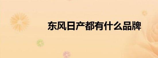 东风日产都有什么品牌