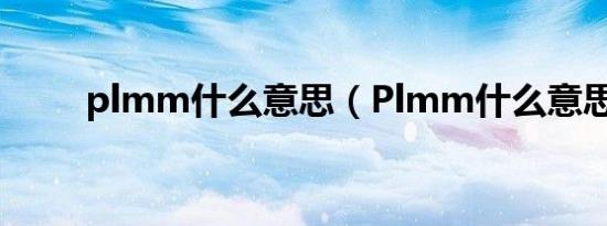 plmm什么意思（Plmm什么意思）
