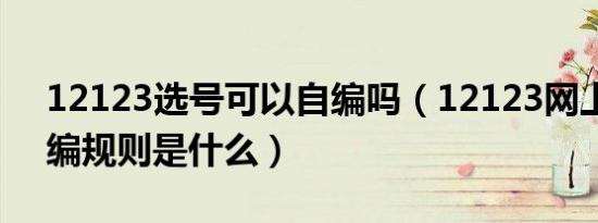 12123选号可以自编吗（12123网上选号自编规则是什么）