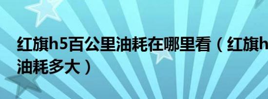 红旗h5百公里油耗在哪里看（红旗h5百公里油耗多大）