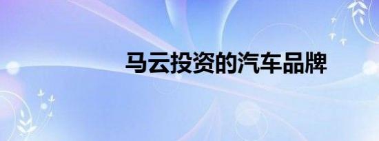 马云投资的汽车品牌
