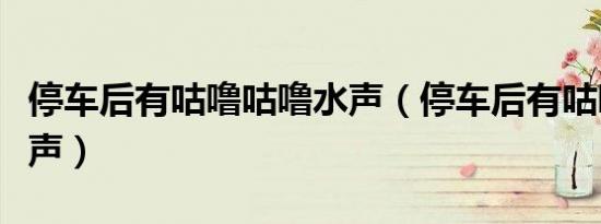 停车后有咕噜咕噜水声（停车后有咕噜咕噜水声）