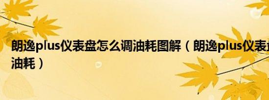 朗逸plus仪表盘怎么调油耗图解（朗逸plus仪表盘怎么设置油耗）