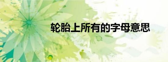 轮胎上所有的字母意思
