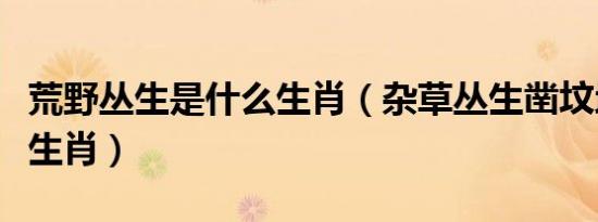 荒野丛生是什么生肖（杂草丛生凿坟地打什么生肖）