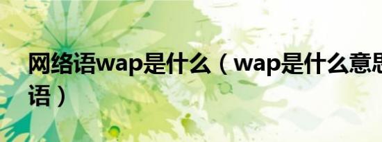 网络语wap是什么（wap是什么意思网络用语）