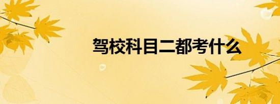驾校科目二都考什么
