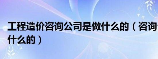 工程造价咨询公司是做什么的（咨询公司是做什么的）