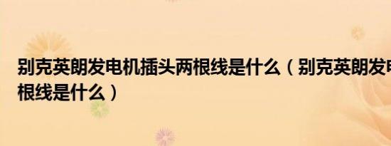 别克英朗发电机插头两根线是什么（别克英朗发电机插头两根线是什么）