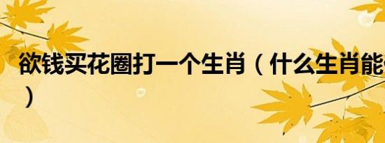 欲钱买花圈打一个生肖（什么生肖能代表花圈）