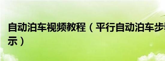自动泊车视频教程（平行自动泊车步骤怎么演示）