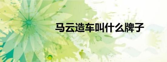 马云造车叫什么牌子