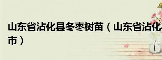 山东省沾化县冬枣树苗（山东省沾化县是哪个市）