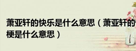 萧亚轩的快乐是什么意思（萧亚轩的快乐这个梗是什么意思）