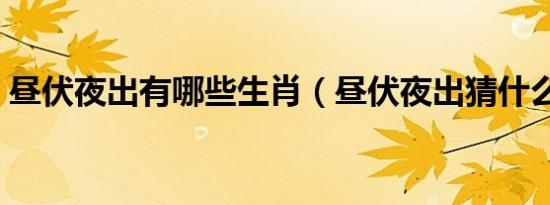 昼伏夜出有哪些生肖（昼伏夜出猜什么生肖）
