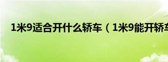 1米9适合开什么轿车（1米9能开轿车吗）