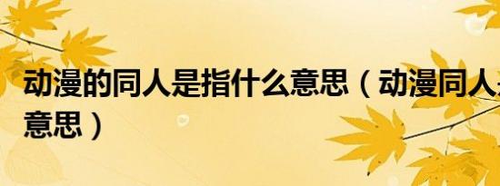 动漫的同人是指什么意思（动漫同人是指什么意思）