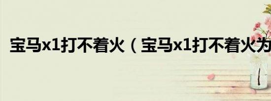 宝马x1打不着火（宝马x1打不着火为什么）