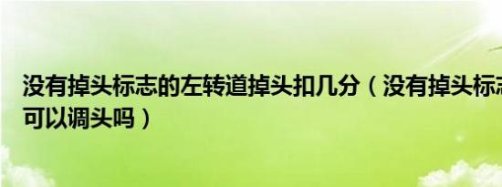 没有掉头标志的左转道掉头扣几分（没有掉头标志的左转道可以调头吗）