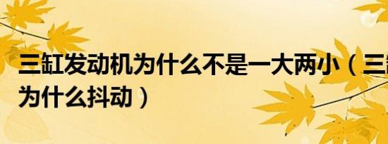 三缸发动机为什么不是一大两小（三缸发动机为什么抖动）