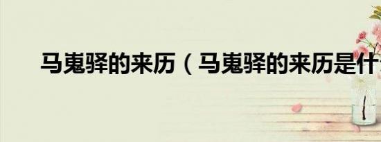 马嵬驿的来历（马嵬驿的来历是什么）