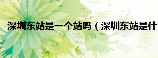 深圳东站是一个站吗（深圳东站是什么站）