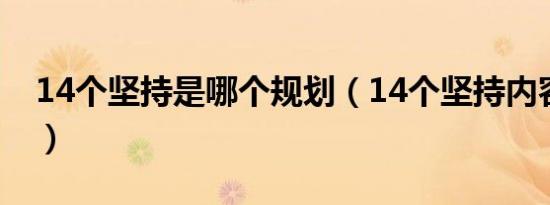 14个坚持是哪个规划（14个坚持内容是什么）