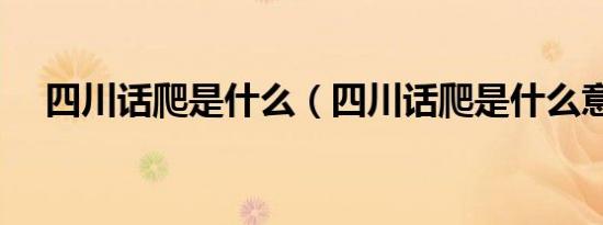 四川话爬是什么（四川话爬是什么意思）