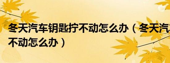 冬天汽车钥匙拧不动怎么办（冬天汽车钥匙拧不动怎么办）